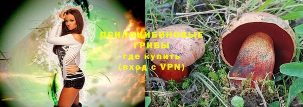 героин Лагань